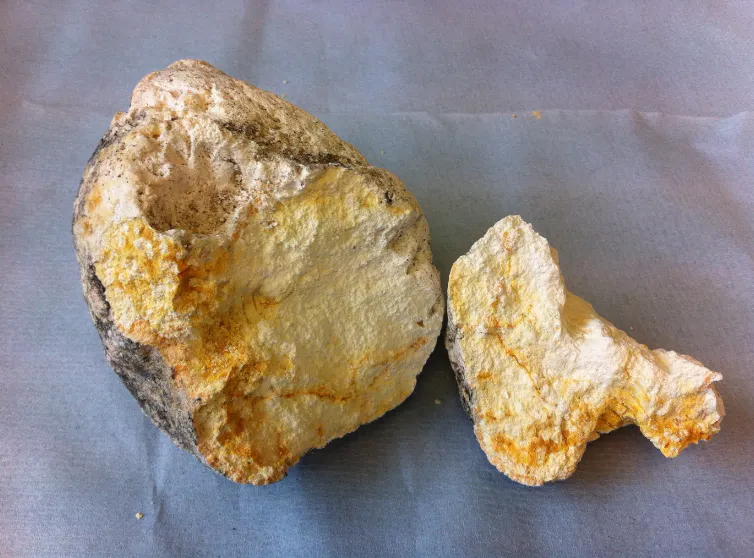 Puke Texture Whale Vomit Texture