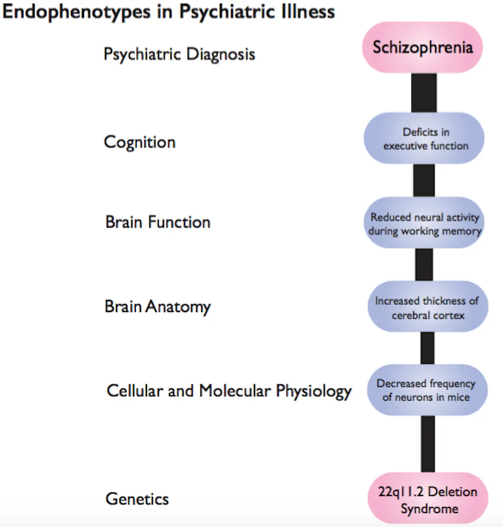 New research is connecting genetic variations to schizophrenia and ...