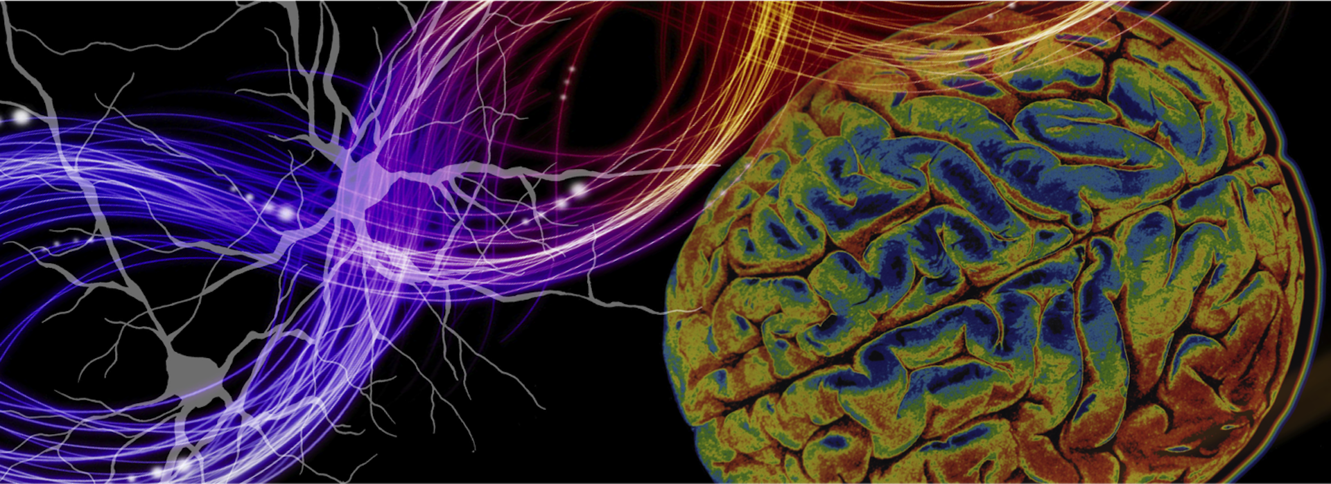 New research is connecting variations to