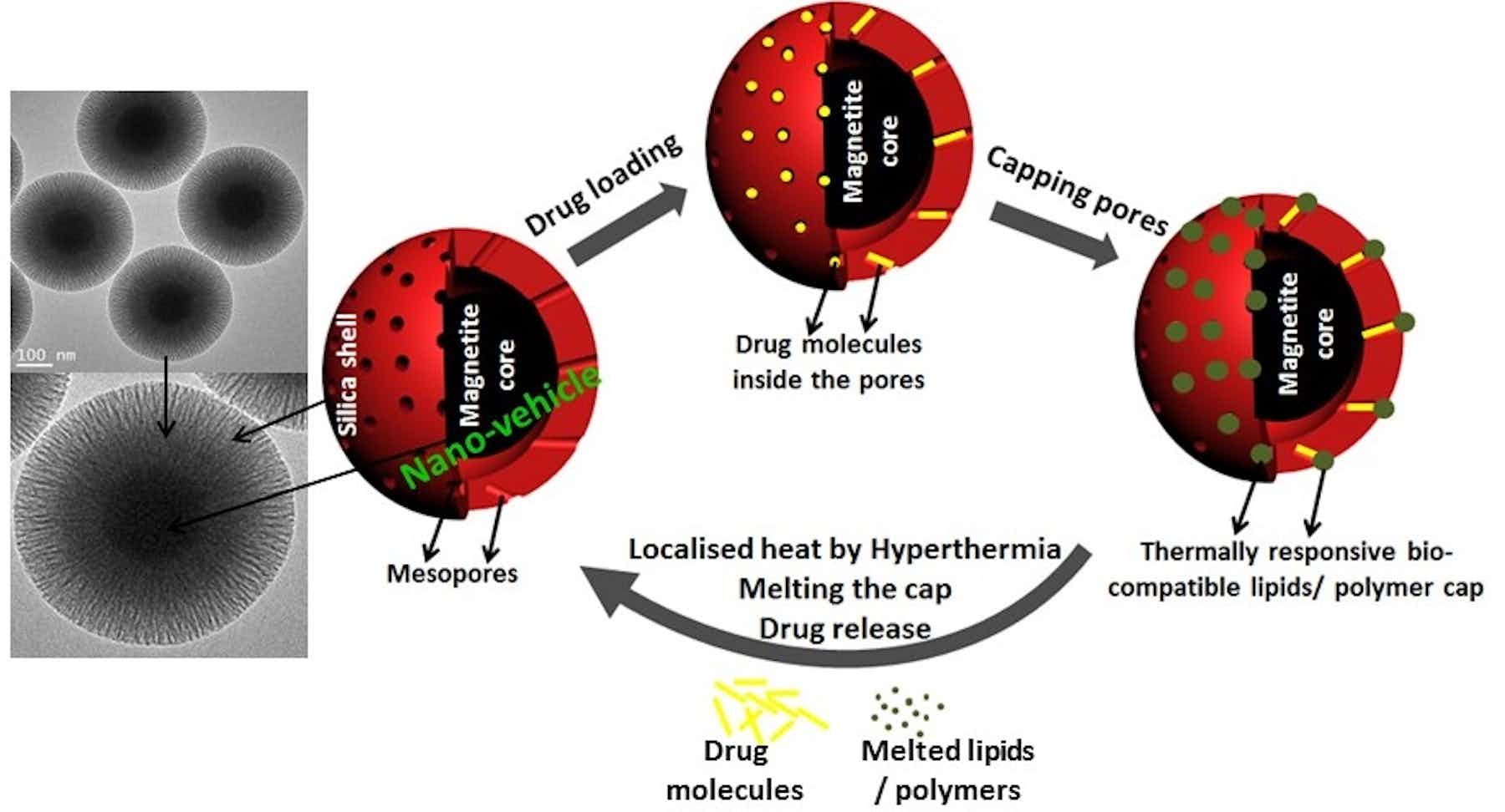 Meet the nanomachines that could drive a medical revolution