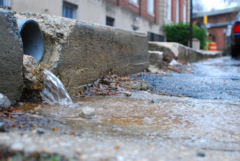 How Your Garden Could Help Stop Your City Flooding