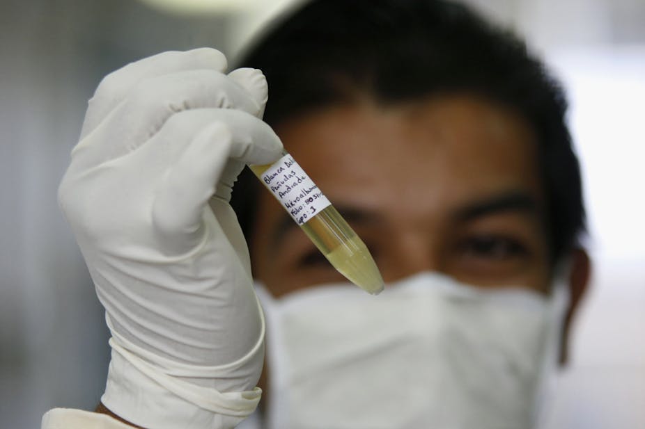 Genetic detectives: how scientists use DNA to track disease outbreaks