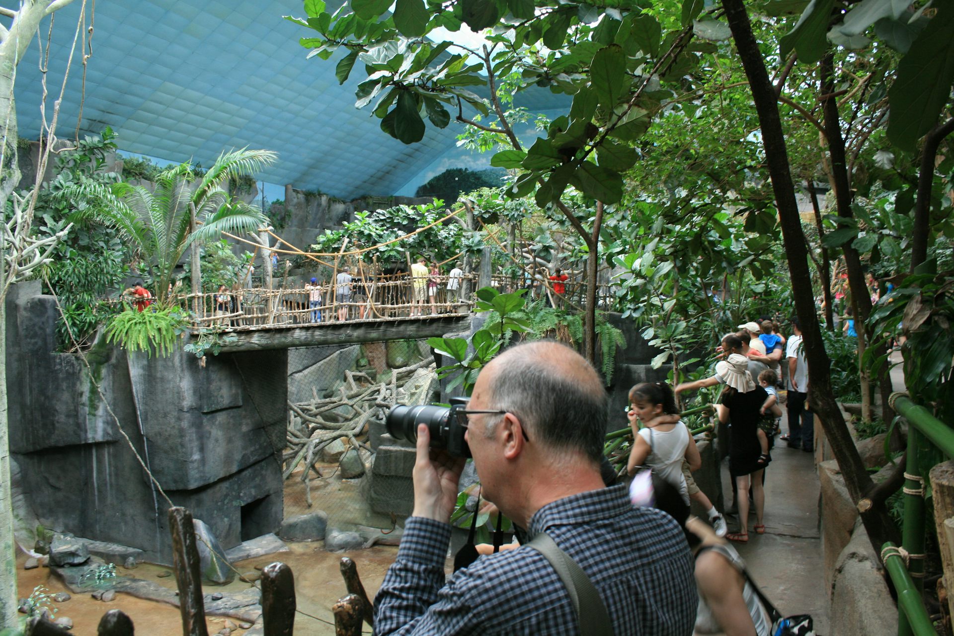 In defence of zoos how captivity helps conservation