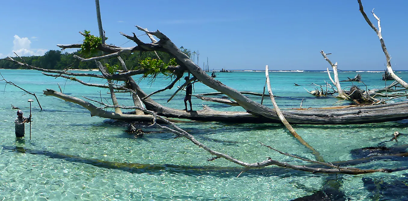 Sea-level rise has claimed five whole islands in the Pacific: first ...