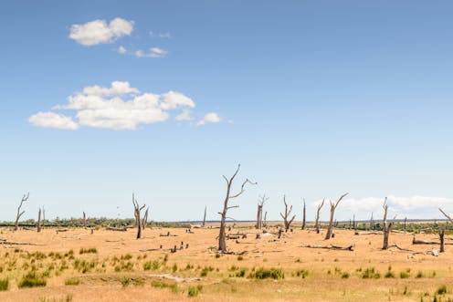 Environmental Score Card Shows Australia Is Once Again In Decline
