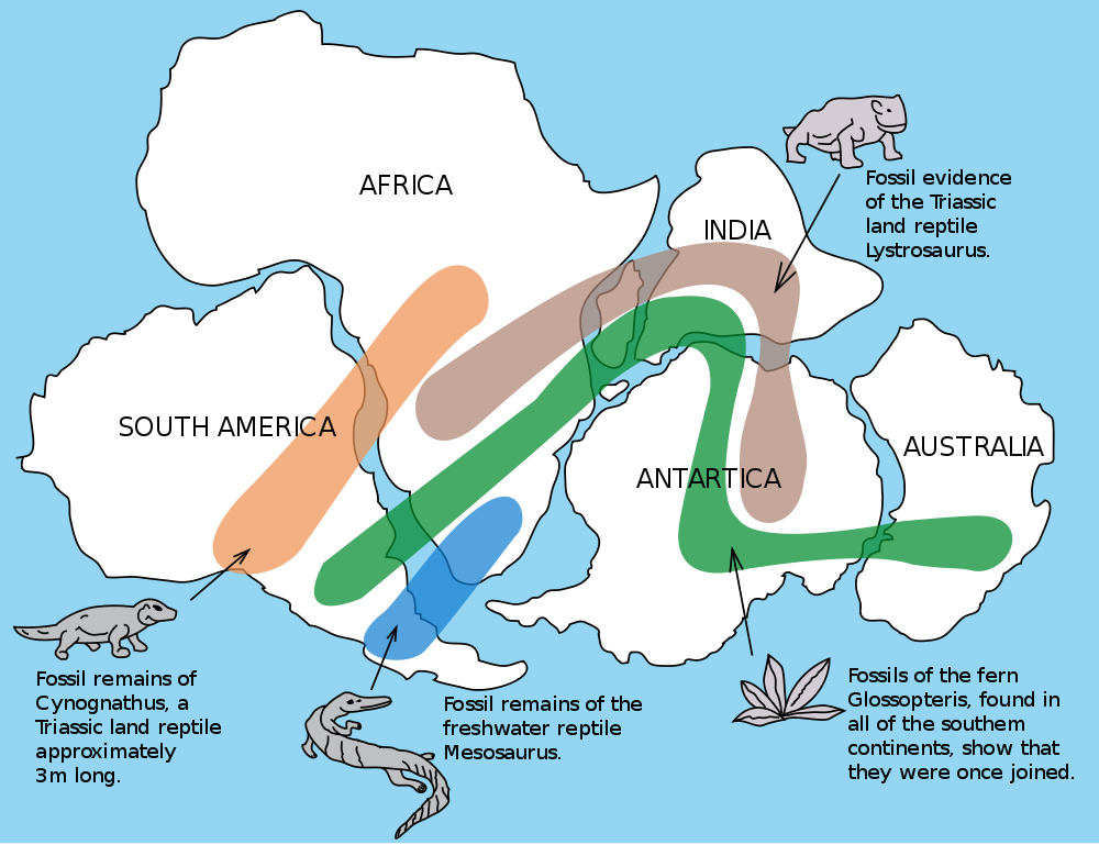 Breaking New Ground The Rise Of Plate Tectonics