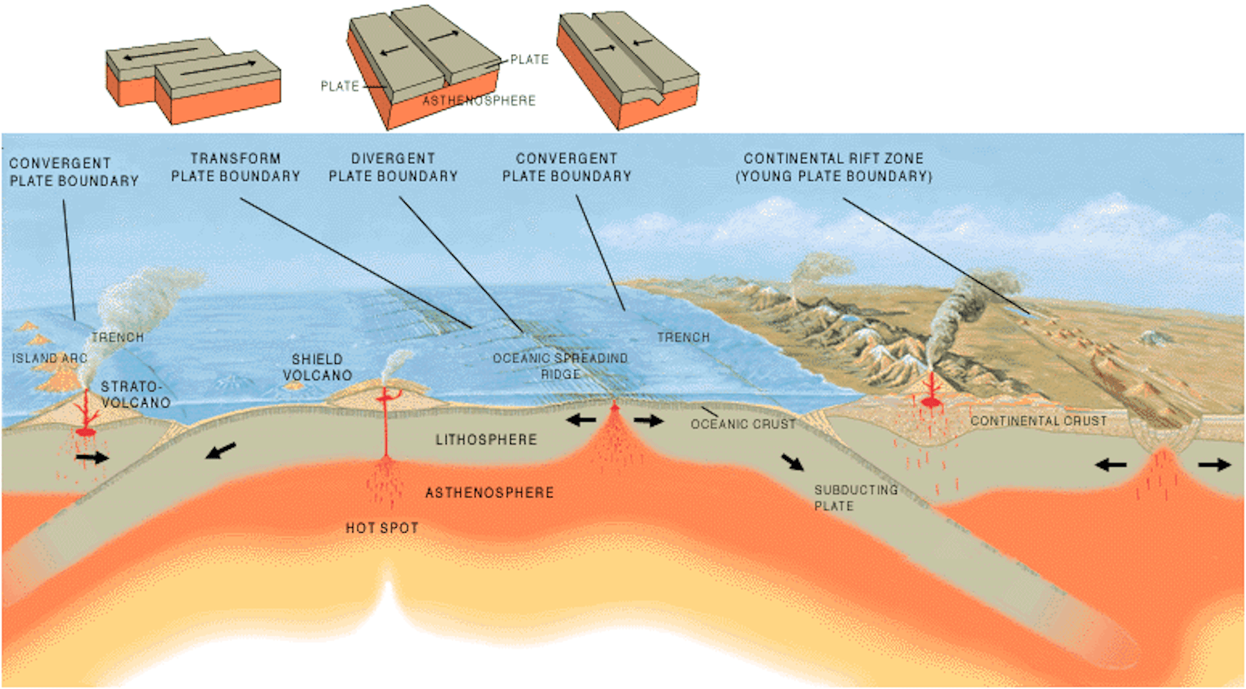 Breaking new ground – the rise of plate tectonics