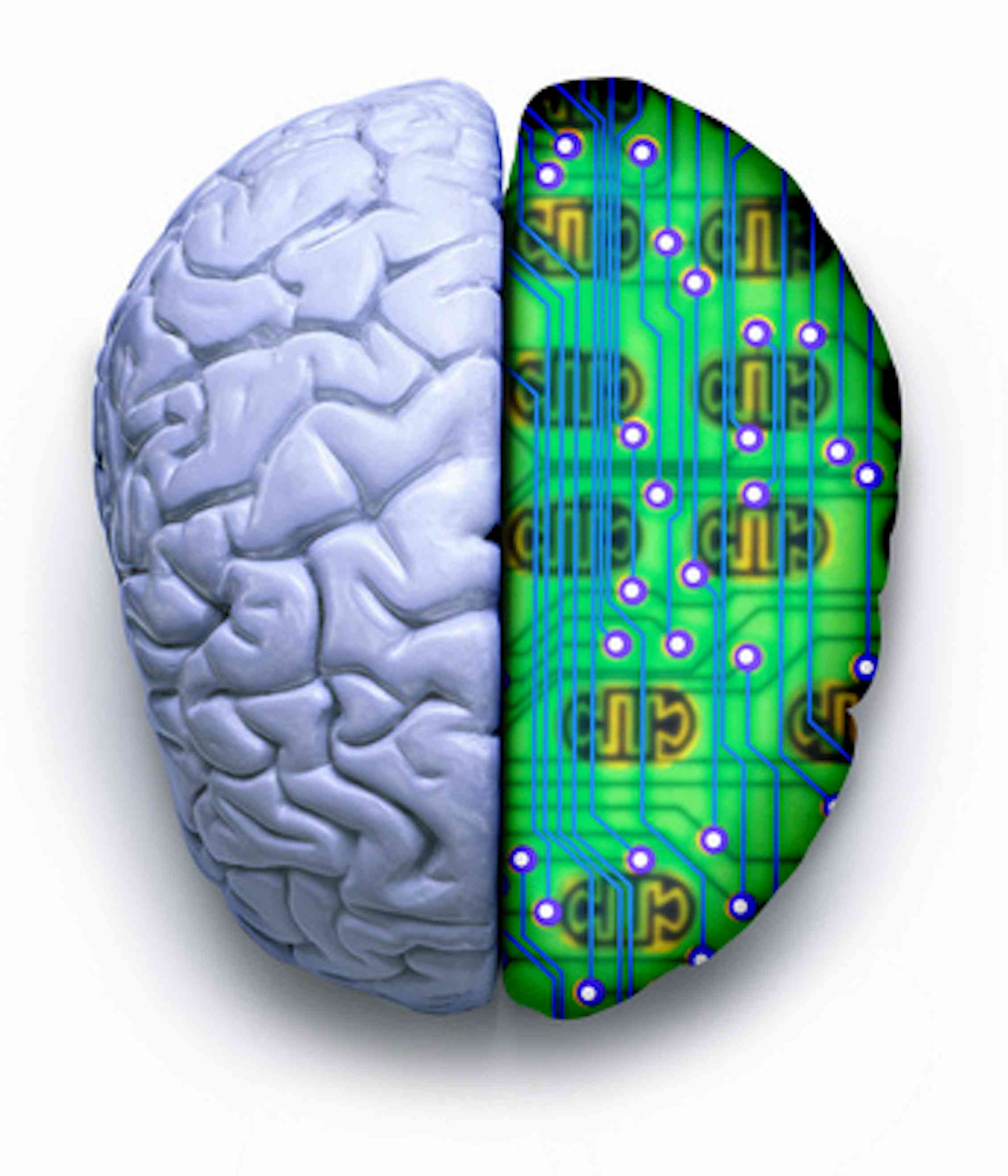 Человеческий мозг и компьютер. Мозг компьютера. Мозг человека компьютер. Компьютер и человеческий мозг. Мозг технологии.