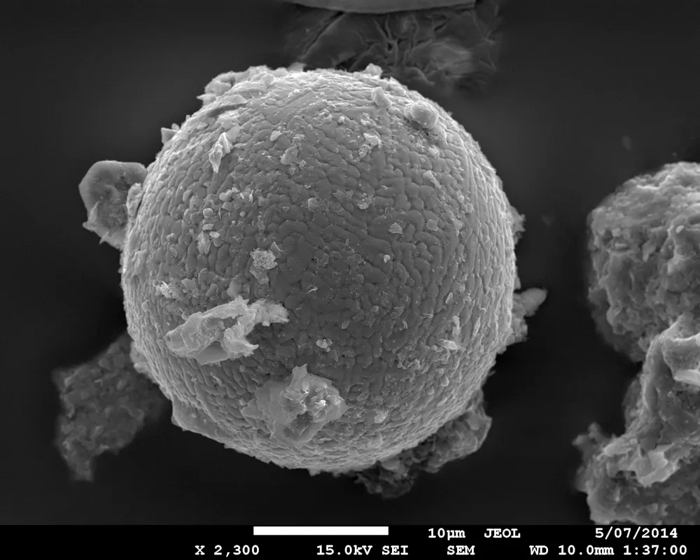 Micro Meterites What a tiny micrometeorite from the Pilbara can tell us about the ...