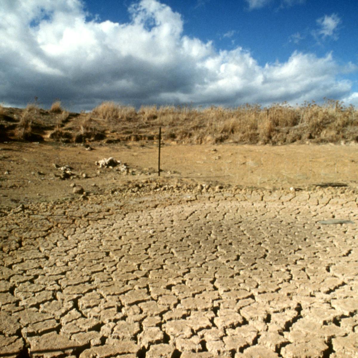 Antarctic Ice Shows Australia S Drought And Flood Risk Is Worse Than Thought