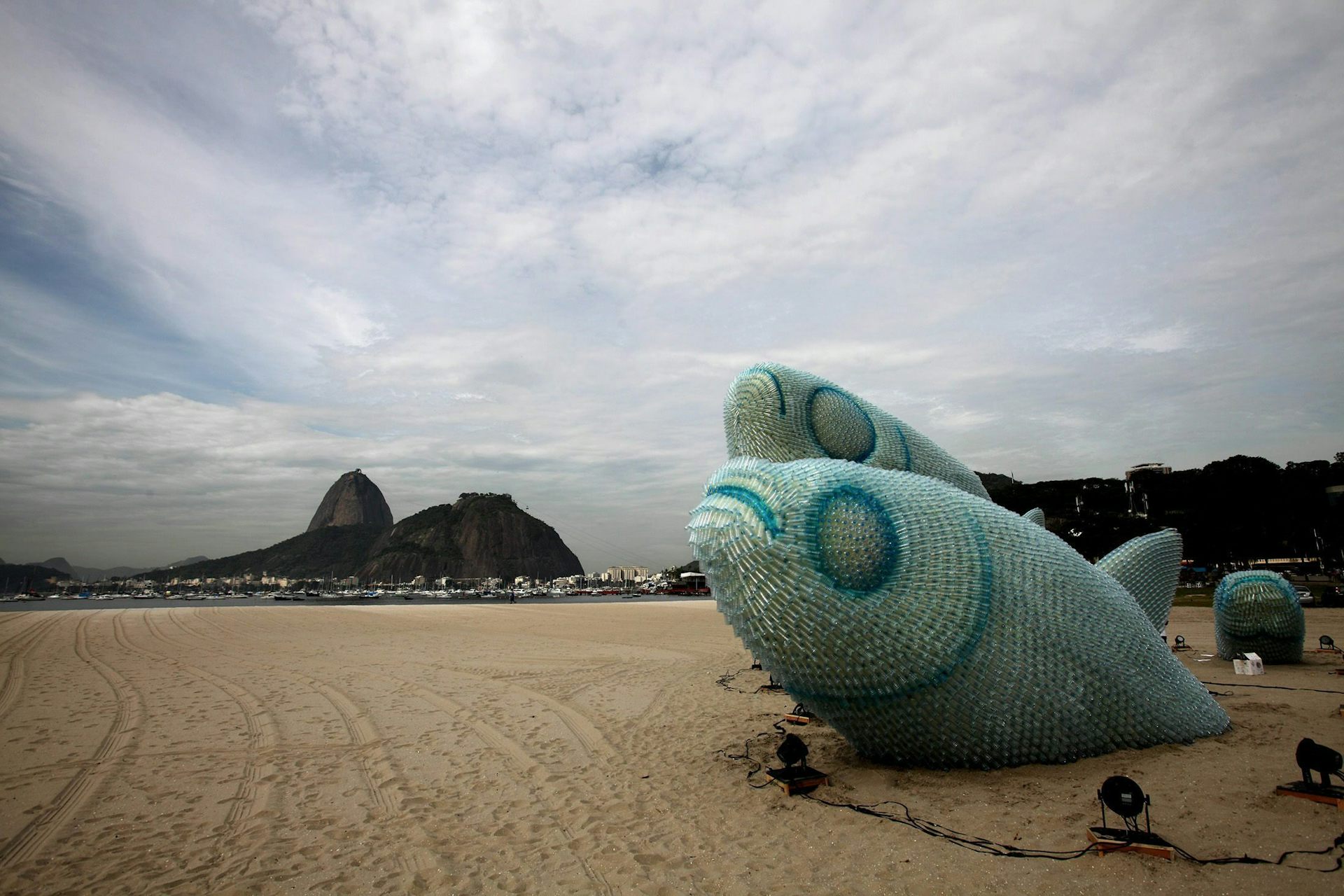 Rio+20: Another step on the journey towards sustainability