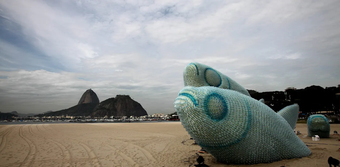 Rio+20: Another step on the journey towards sustainability