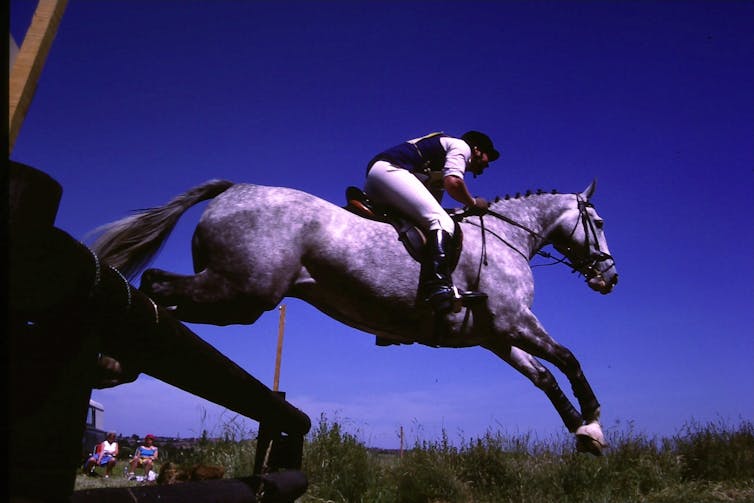 Eventing is a sport enjoyed by many Australians, but what are the risks? How risky is horse riding?