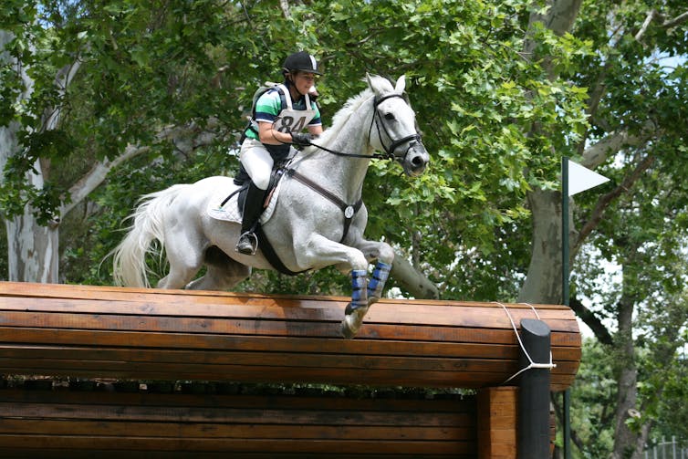 A rider clearing a jump in a local eventing event. How risky is horse riding?
