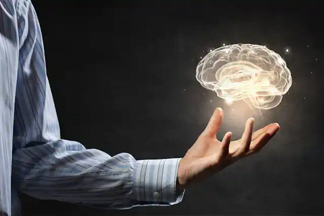 To understand the brain, it helps to make a computer model of one
