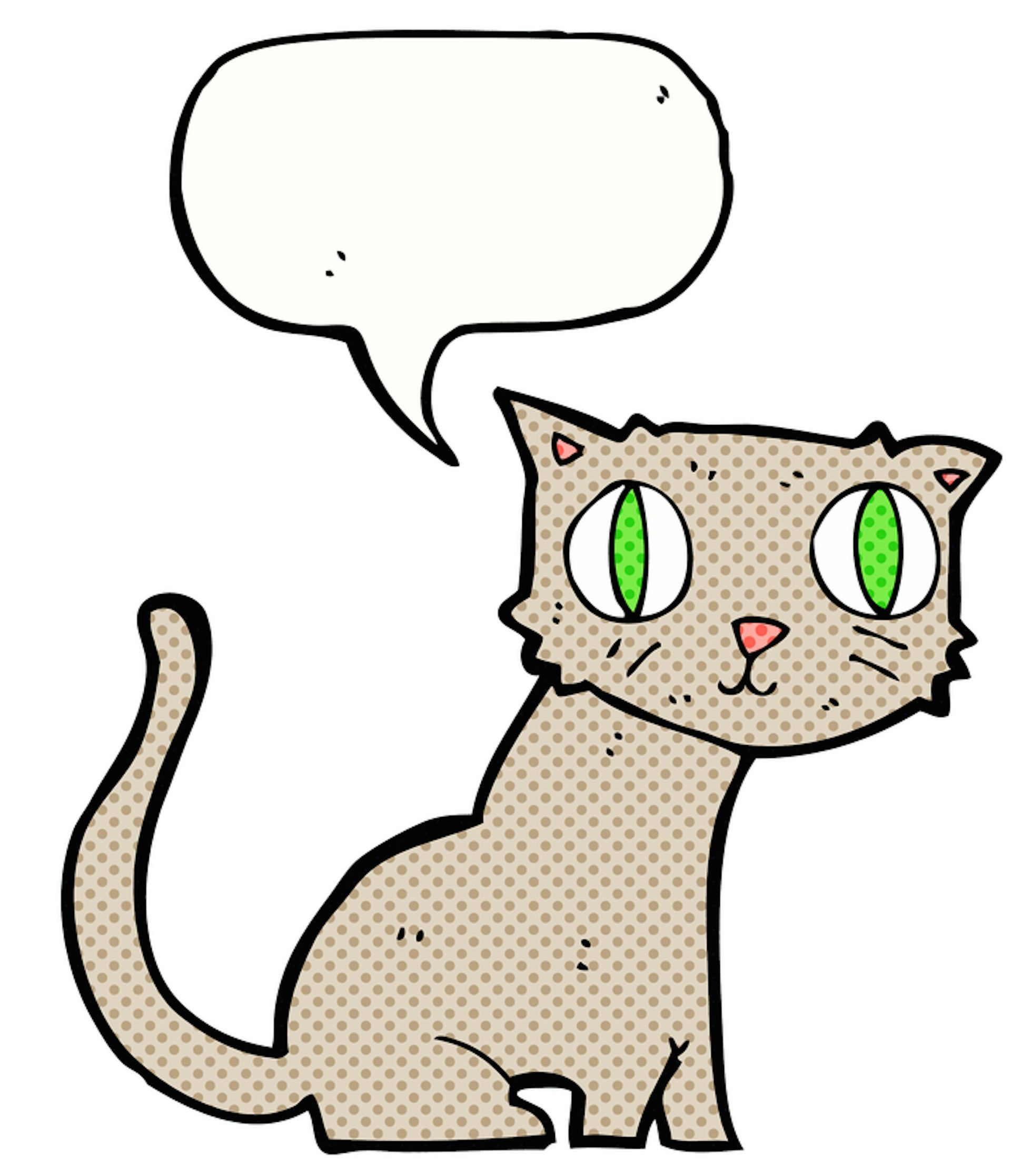 Скажи кэт. Cartoon Cat cartoon Cat говорю. Беременный cartoon Cat. Навык cartoon Cat. Как нарисовать реального cartoon Cat.