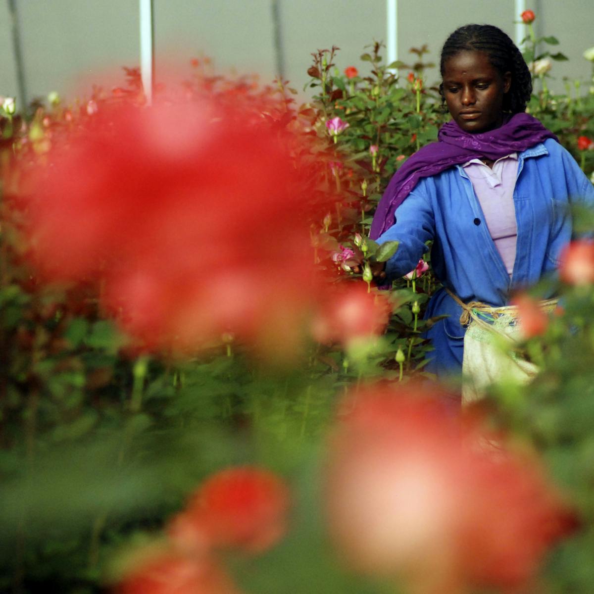 Why Ethiopia Is On Track To Become Africa S Industrial Powerhouse