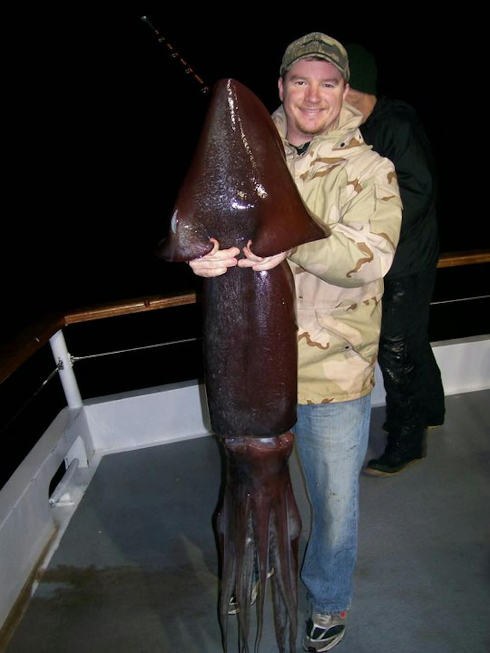 Calamars Pieuvres Et Seiches Pourquoi Leur Nombre Ne Cesse D Augmenter Calamars Pieuvres Et Seiches Pourquoi Leur Nombre Ne Cesse D Augmenter
