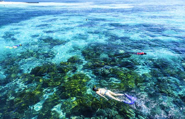 tourism numbers great barrier reef