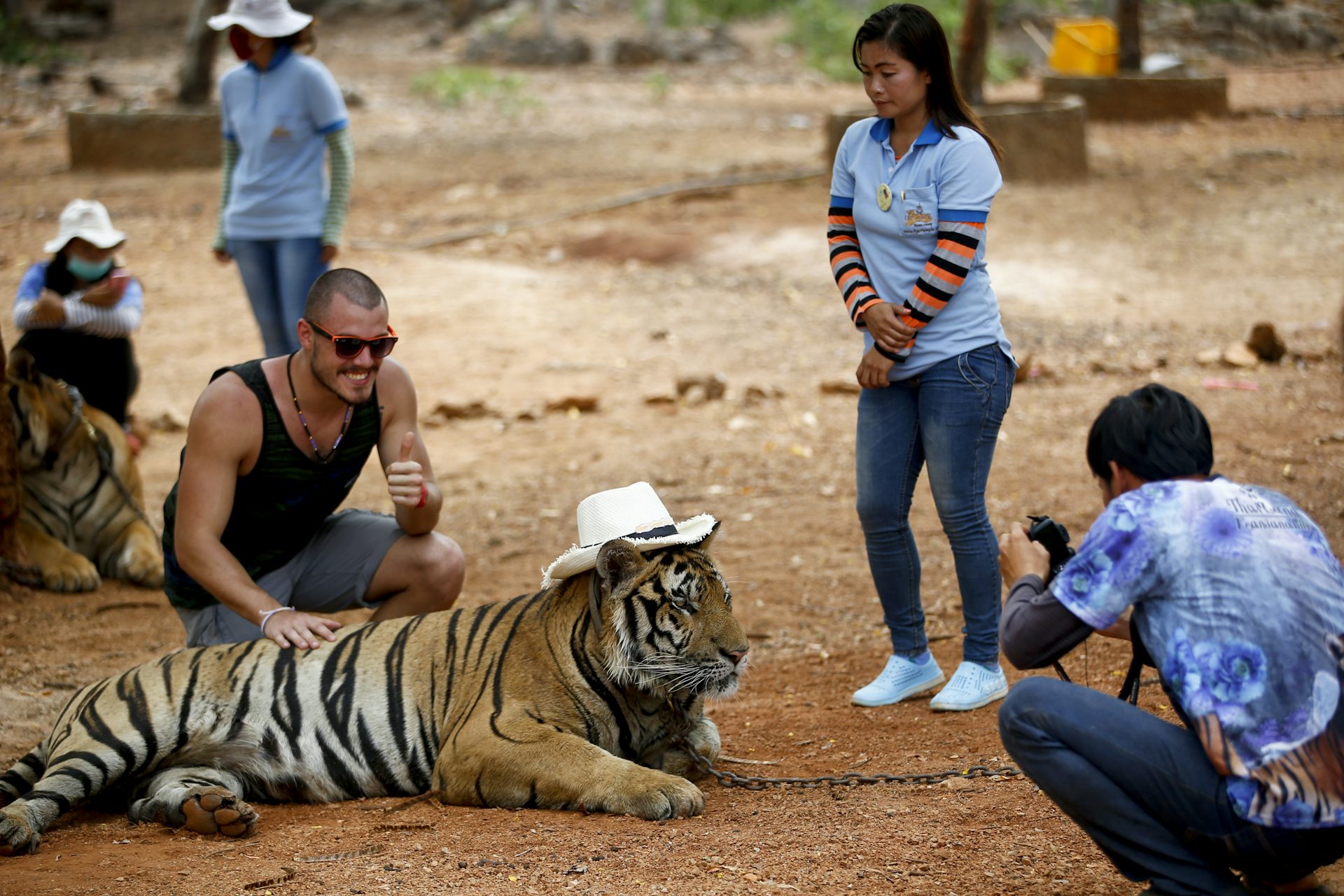 Good riddance to Thailand s infamous tiger temple