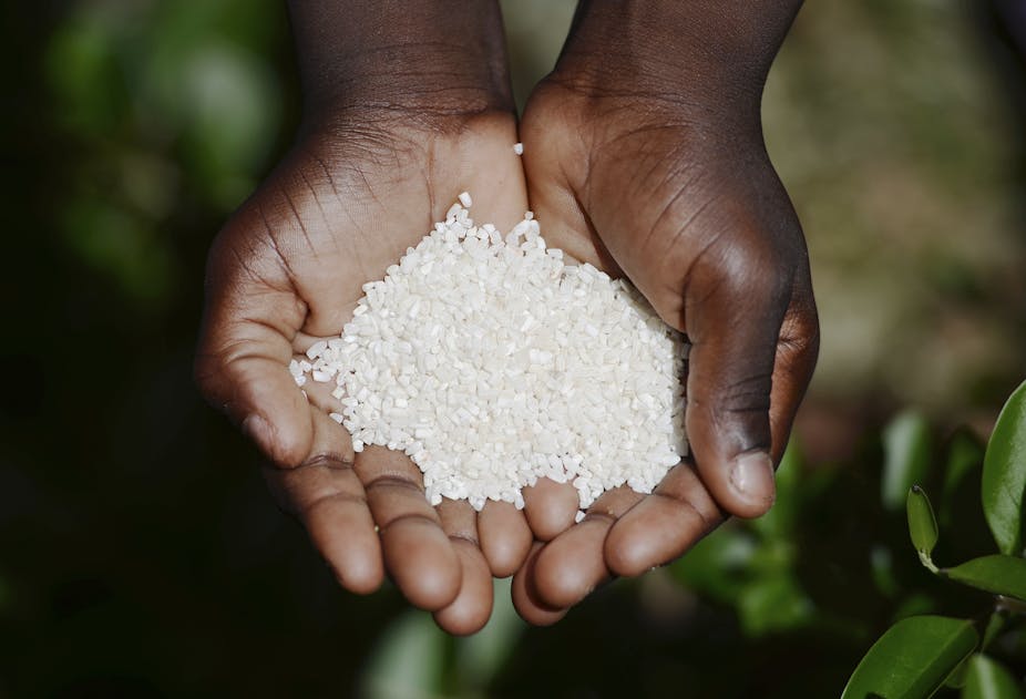Sub-Saharan Africa has a long way to go before it cracks food insecurity