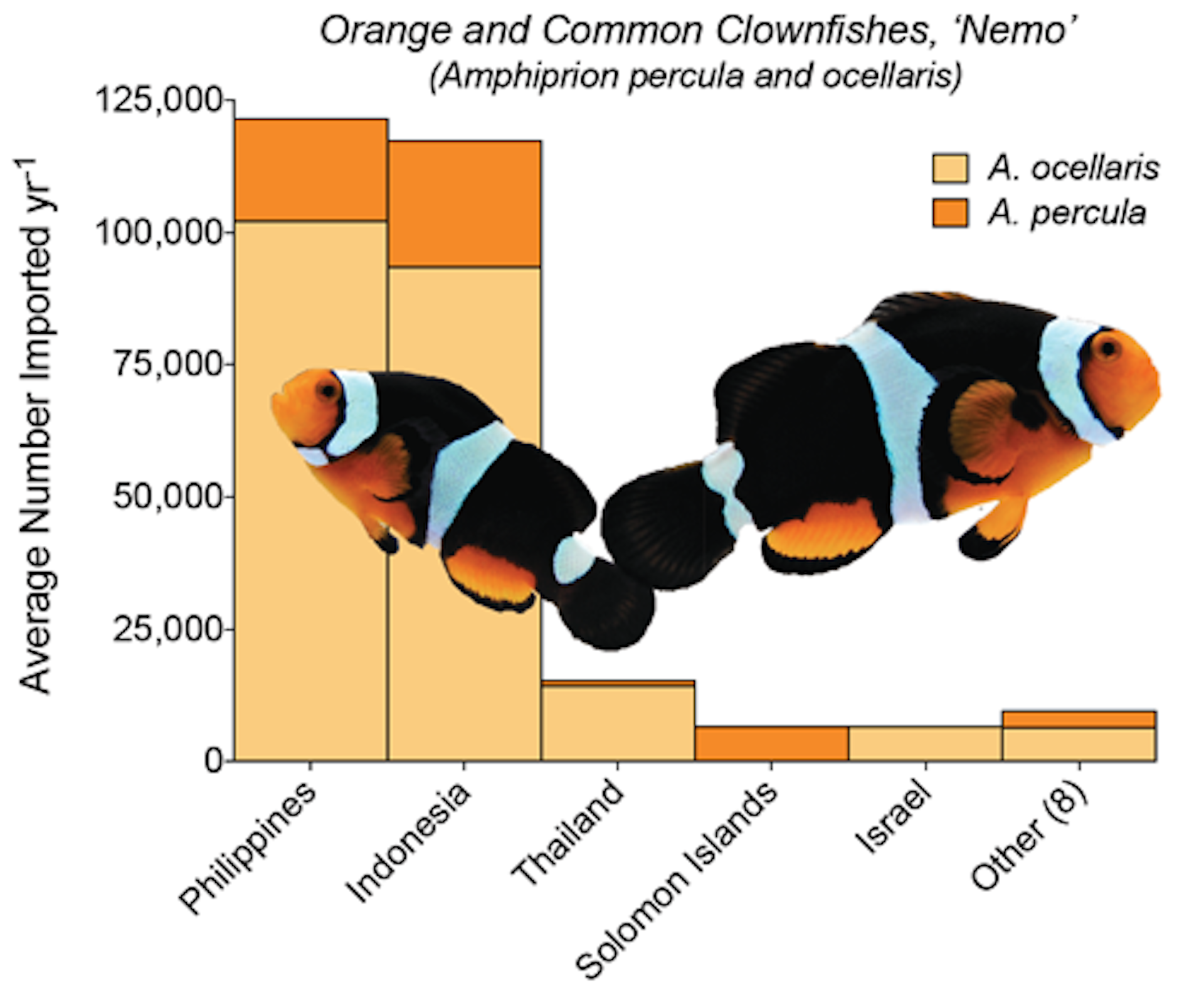 Clownfish Species Chart
