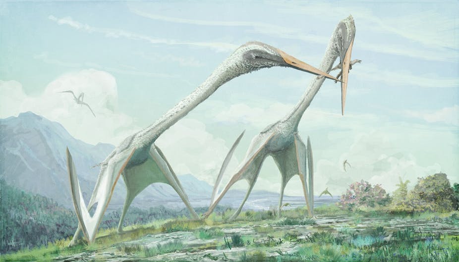 Pterosaurs should have been too big to fly – so how did they ...