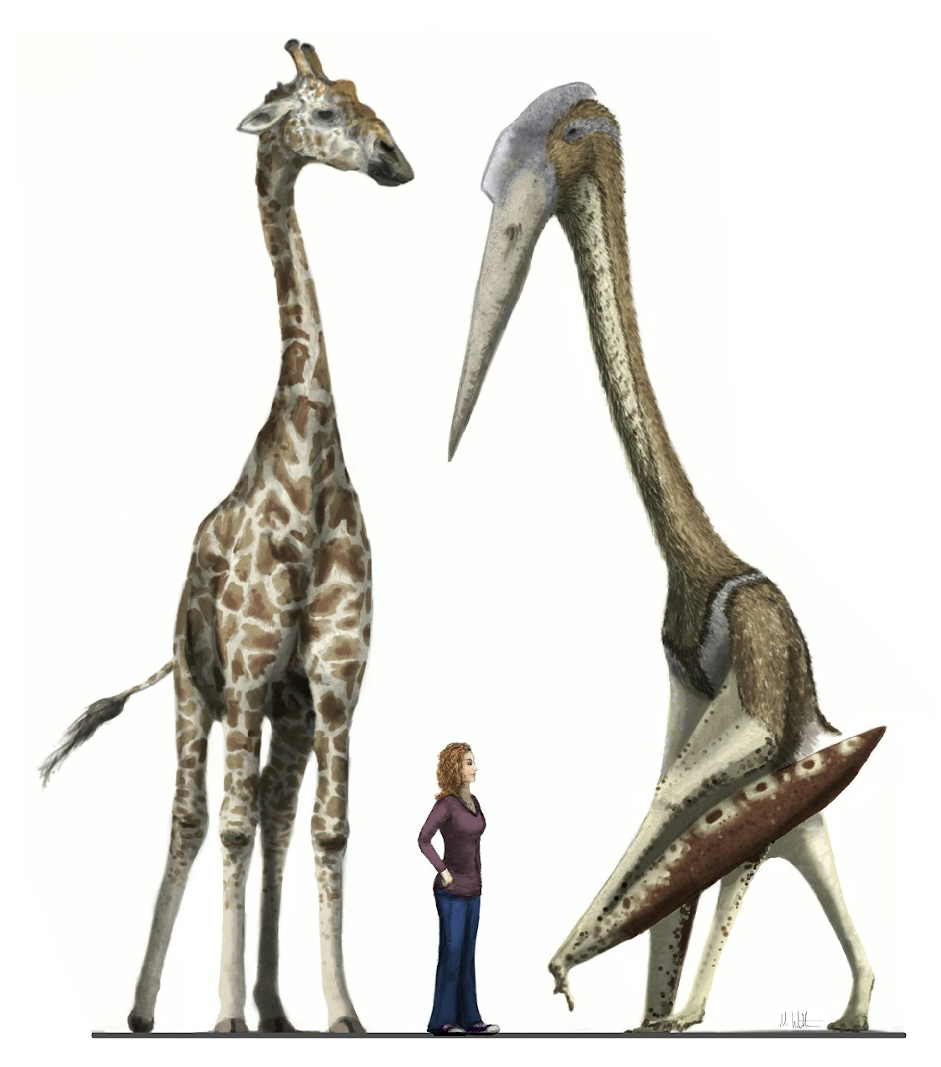 pterosaur quetzalcoatlus