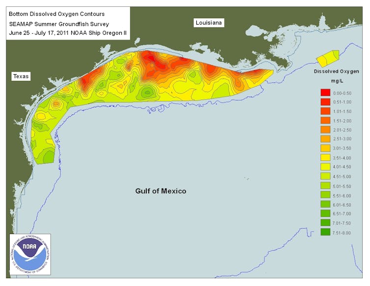 Reducing Water Pollution With Microbes And Wood Chips Reducing Water Pollution With Microbes And Wood Chips