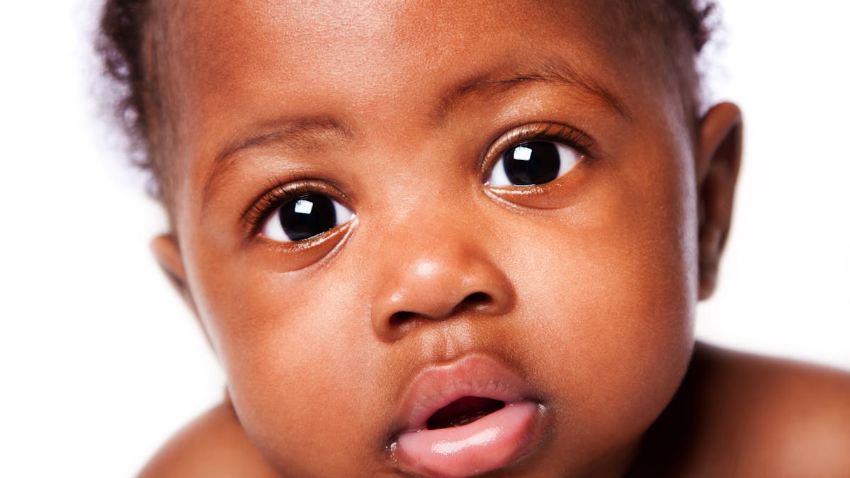 How cute things hijack our brains and drive behaviour