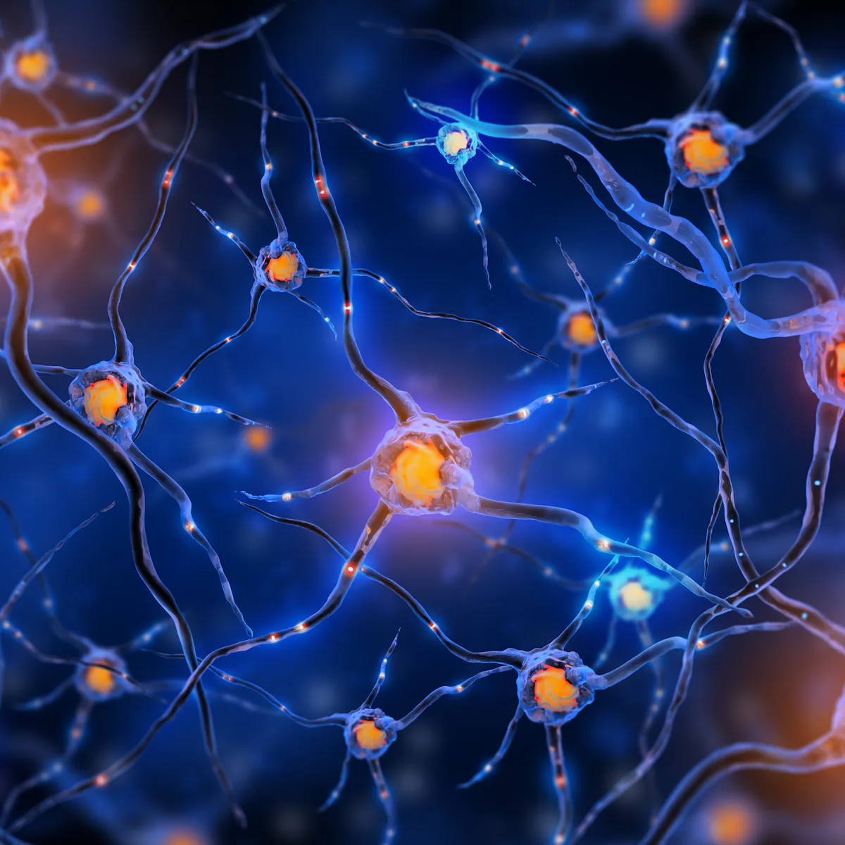 Picture Of Nervus System Nervous System Anatomy Physiology The Cell Picture Of Nervus System Nervous System Anatomy Physiology The Cell