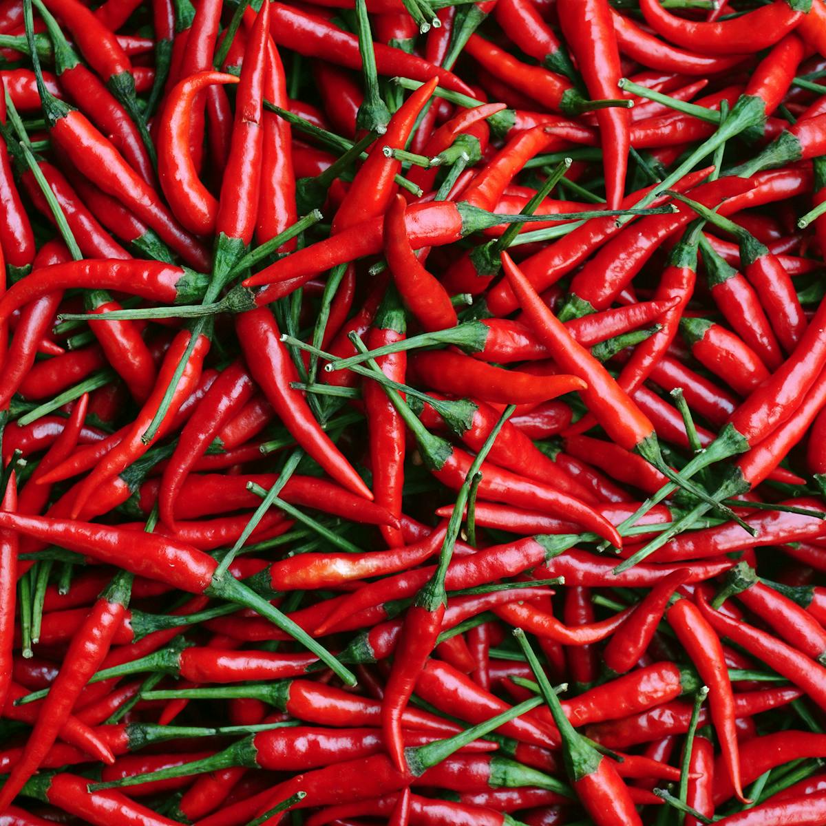 The quest for the world's hottest chilli