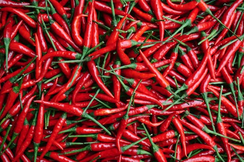 The quest for the world&#39;s hottest chilli