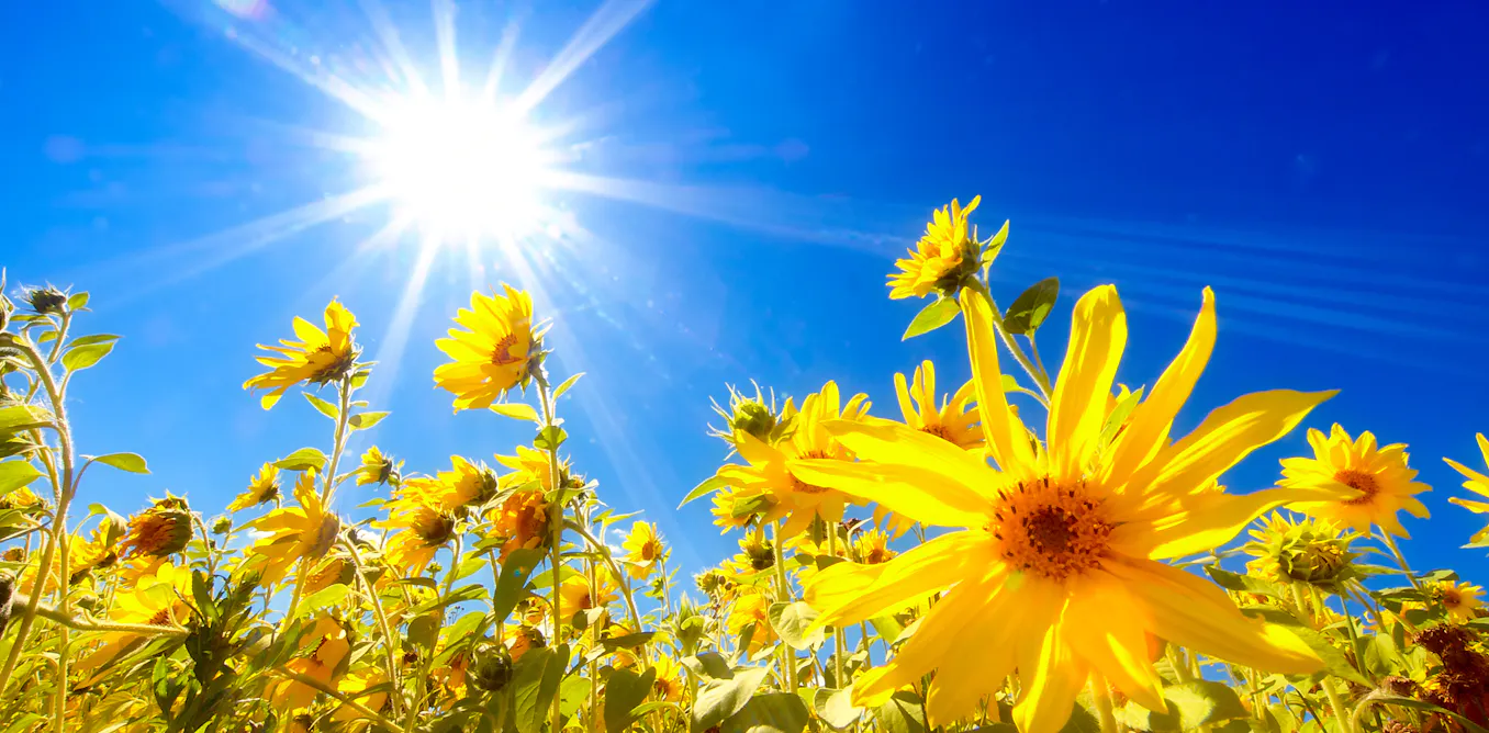 Click to enlarge Image error