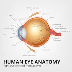 Health Check: Will I Damage My Eyes If I Don’t Wear Sunglasses? health check: will i damage my eyes if i don’t wear sunglasses?