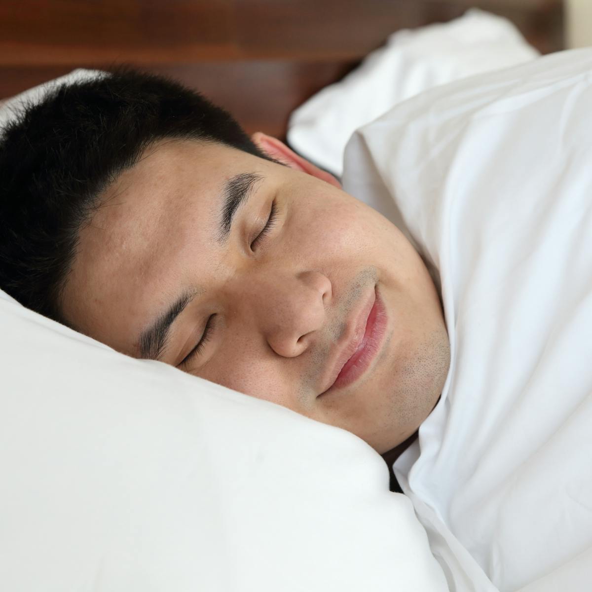 Get Was Freud Right About Dreams After All Here S The Research That Desktop Wallpaper Free Wallpaper Was Freud Right About Dreams After All Here S The Research That Free HD