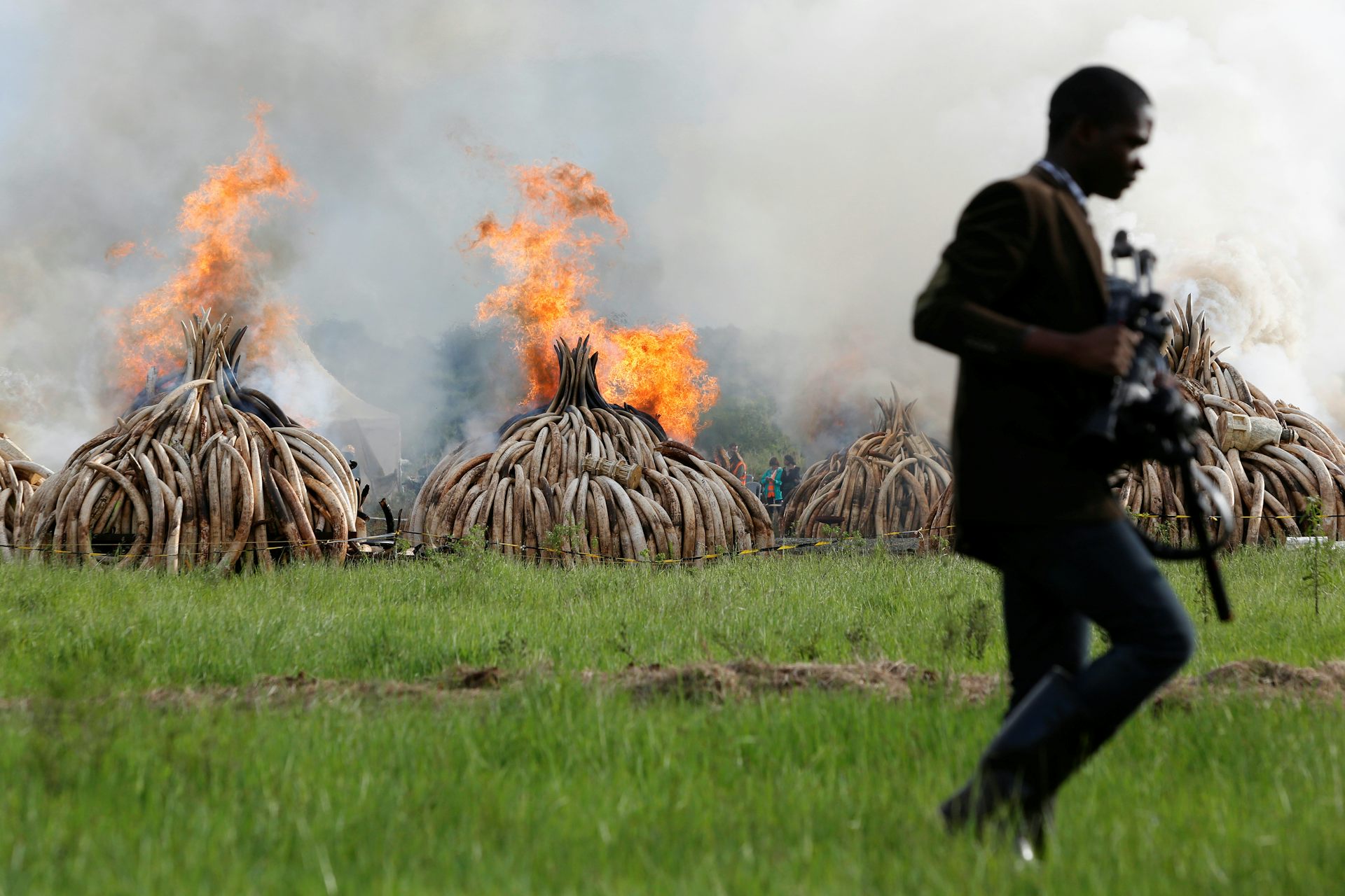 EU S New Stand On Ivory Trade Upsets East Africa Ahead Of Key Decision   Image 20160714 23323 Lqfbd9 