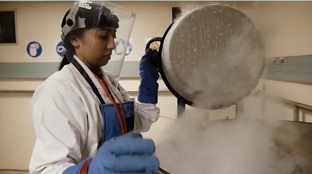 Scientists are combining forces to tackle the deadly duo of TB and HIV