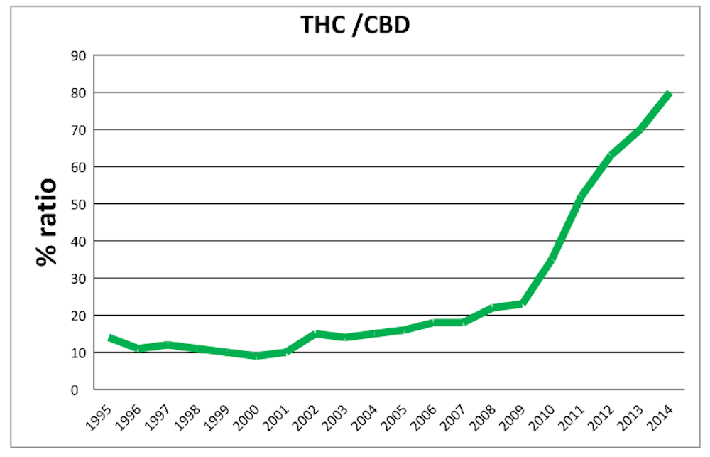 Is Cannabis Really Getting Stronger?