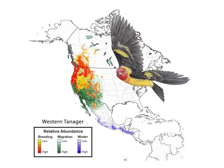 migration data