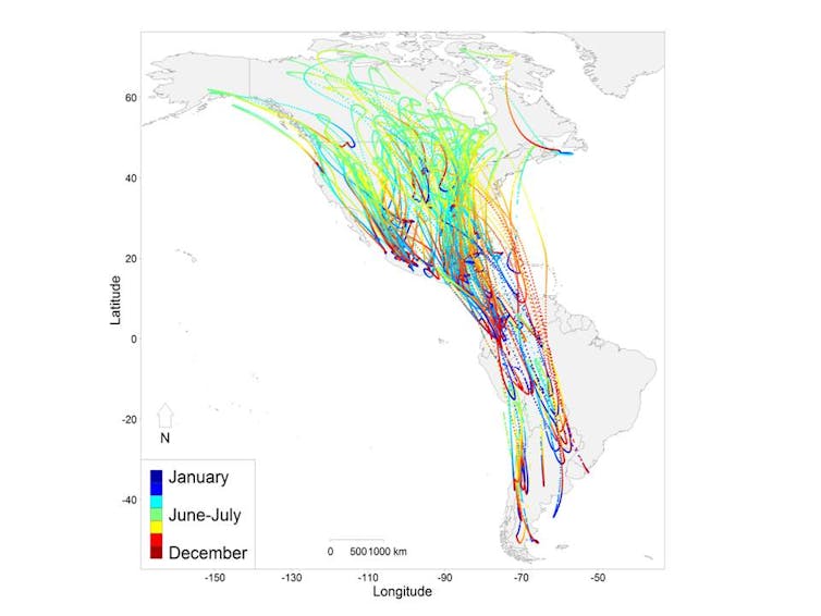 migration map