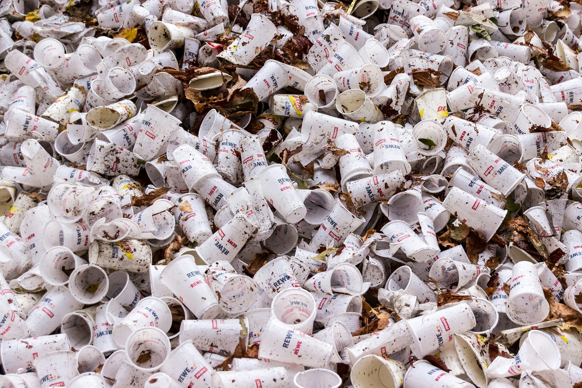 plastic paper cup
