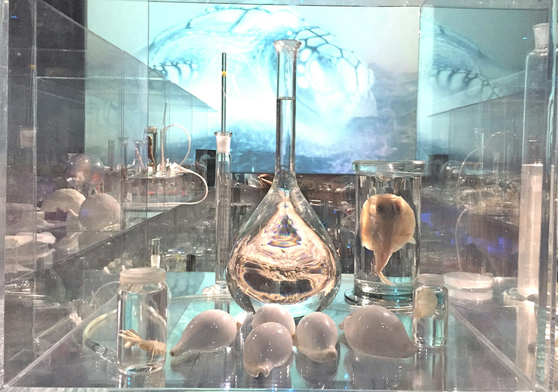 Here's looking at: Deep Breathing: Resuscitation for the Reef by Janet