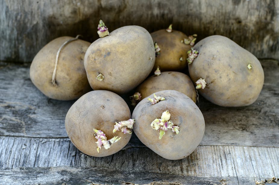 Relieve Headaches With Potato Passionate For Truth