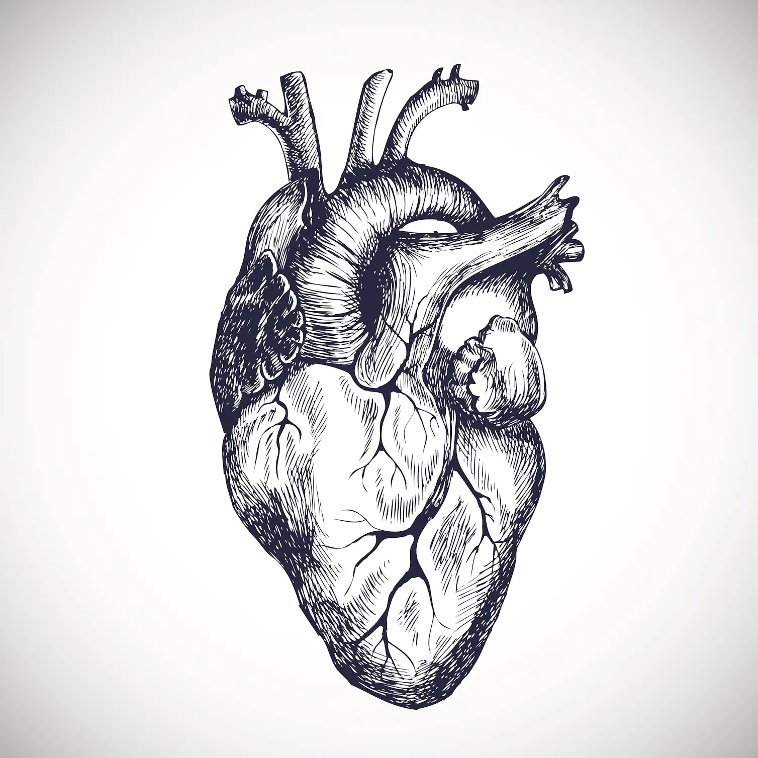 Cancer Riddled Organ Natural selection may be the answer to the cancer riddle, but can we ...