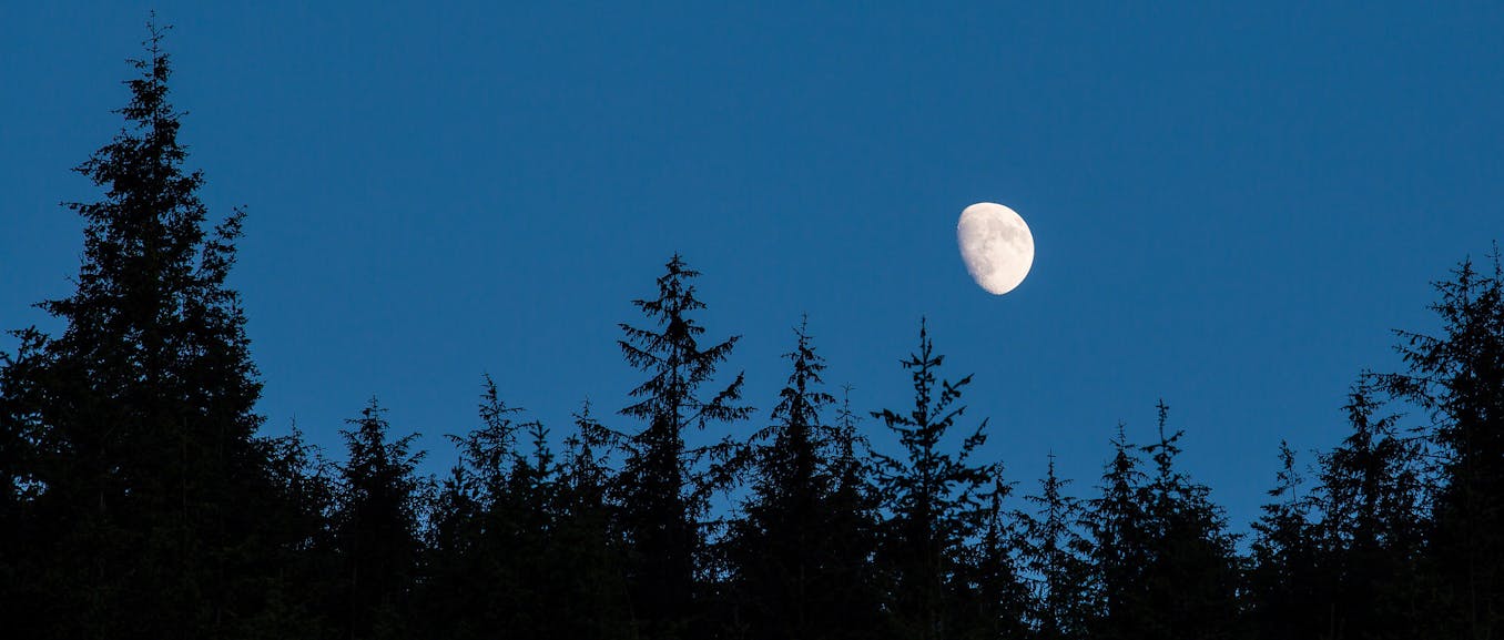 Явление две луны. Природа Луны. Три Луны на небе. Луна на небе полулуние. Фазы Луны в небе над лесом.