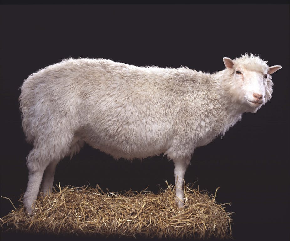 Dolly the Sheep and the human cloning debate - twenty years later