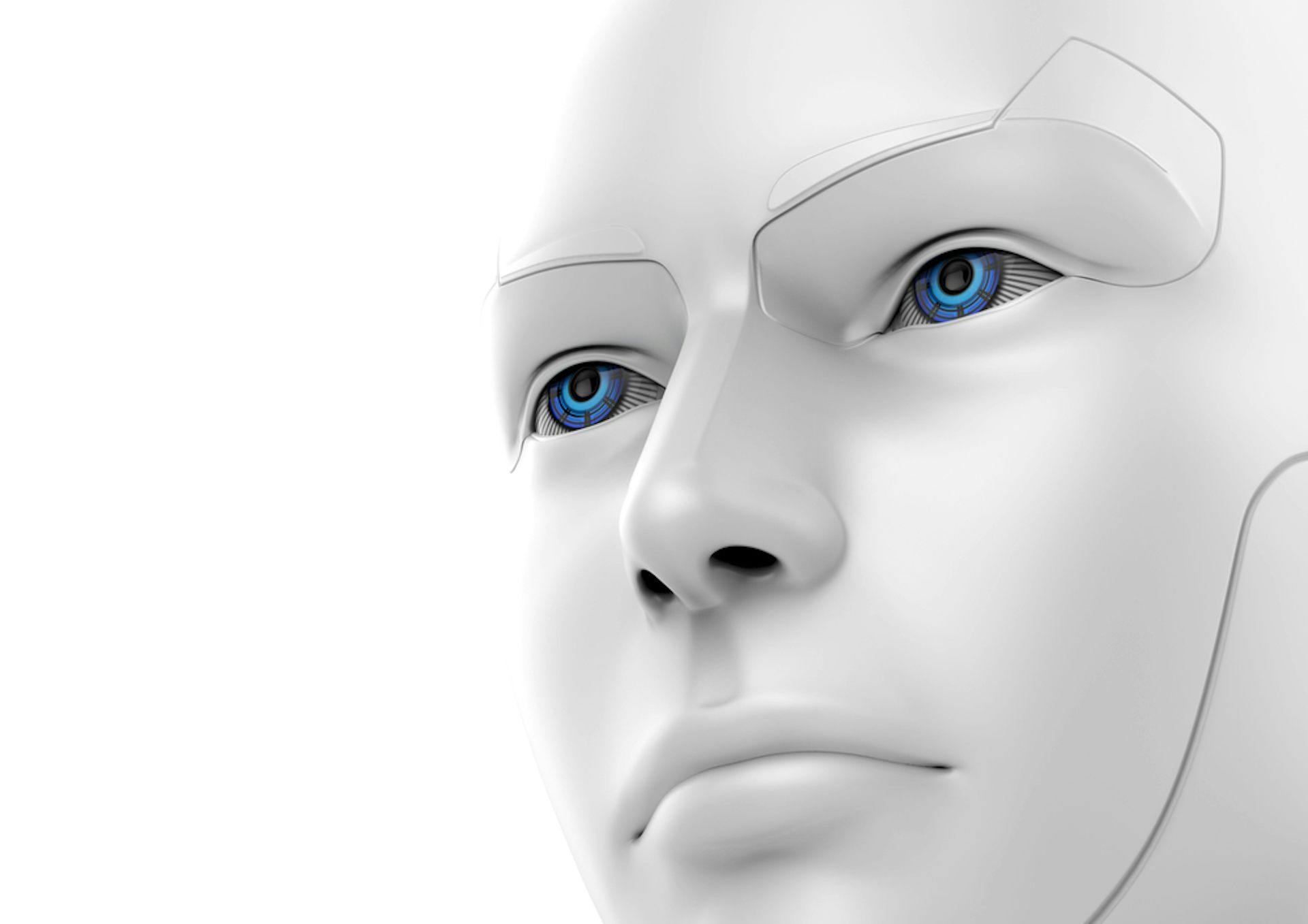 the humanoid robot