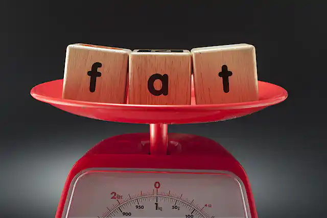 Lecture Fat Explainer: what is fat studies?