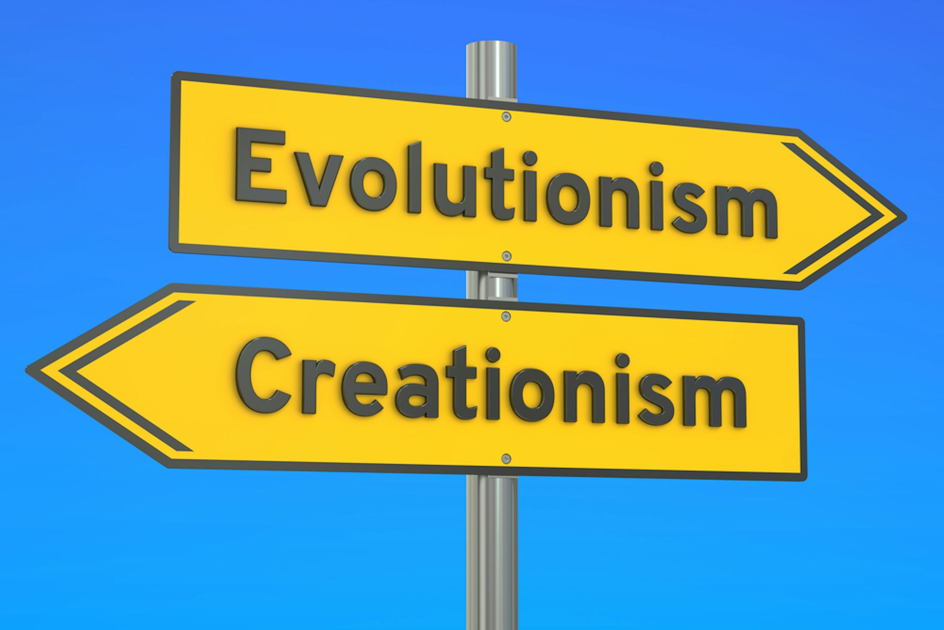 Evolution Vs Creation: Teachers Try To Balance Faith And Their Lessons